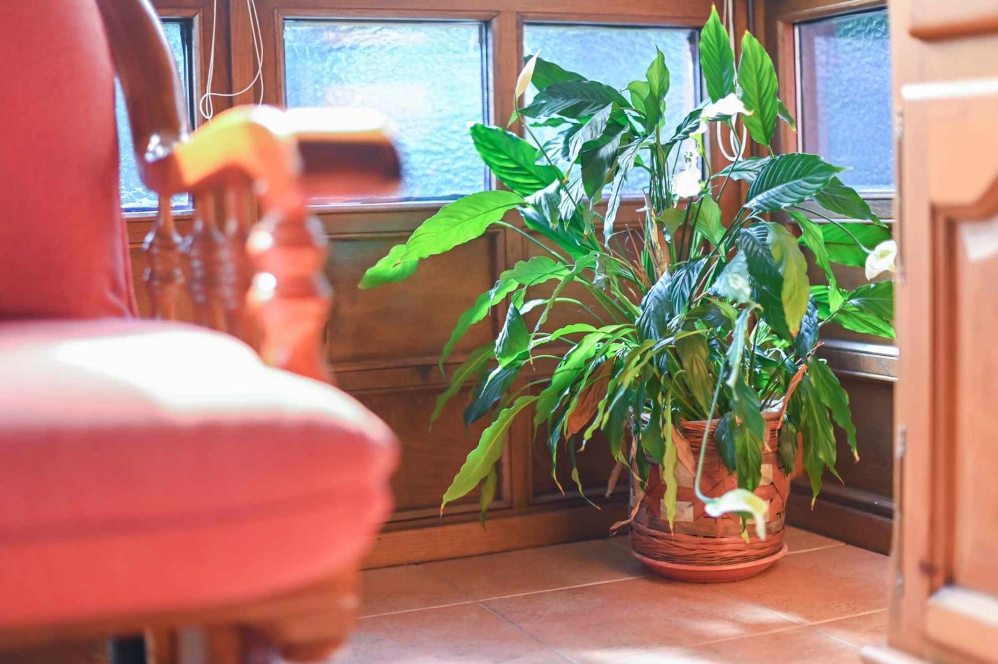 Apartamentos Rurales El Cuetu Picones  Dış mekan fotoğraf